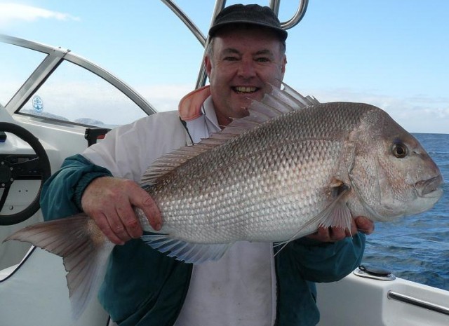 Snapper - 10 Kg.JPG